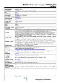MUTED Antibody - C-Terminal Region (ARP63301 P050) Data Sheet