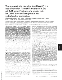 The Osteopetrotic Mutation Toothless (Tl) Is a Loss-Of-Function Frameshift Mutation in the Rat Csf1 Gene: Evidence of a Crucial