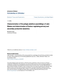 Characterization of the Pelagic Plankton Assemblage of Lake Matano and Determination of Factors Regulating Primary and Secondary Production Dynamics