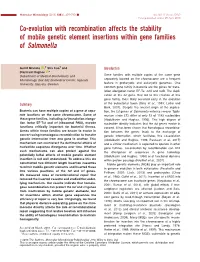 Evolution with Recombination Affects the Stability of Mobile Genetic Element Insertions Within Gene Families of Salmonella