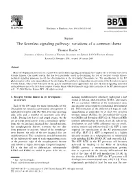 The Sevenless Signaling Pathway: Variations of a Common Theme