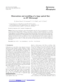 Observations and Modelling of a Large Optical Flare on at Microscopii