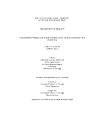 Open Thesis FINAL3.Pdf