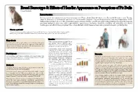 Breed Stereotype & Effects of Handler Appearance on Perceptions of Pit