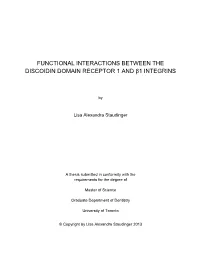 Functional Interactions Between the Discoidin Domain Receptor 1 and Β1 Integrins