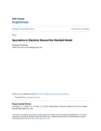 Sporulation in Bacteria: Beyond the Standard Model