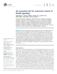 An Essential Role for Maternal Control of Nodal Signaling