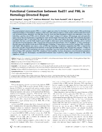 Functional Connection Between Rad51 and PML in Homology-Directed Repair