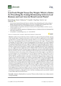Leaf Fresh Weight Versus Dry Weight: Which Is Better for Describing the Scaling Relationship Between Leaf Biomass and Leaf Area for Broad-Leaved Plants?