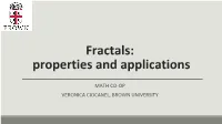Fractals: Properties and Applications