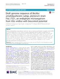 Draft Genome Sequence of Bacillus Amyloliquefaciens Subsp