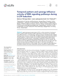Temporal Pattern and Synergy Influence Activity of ERK Signaling Pathways During L-LTP Induction