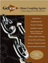 Silane Coupling Agents Connecting Across Boundaries