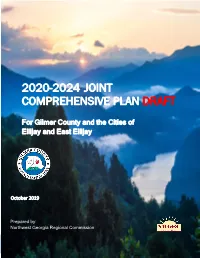 2020-2024 Joint Comprehensive Plan Draft