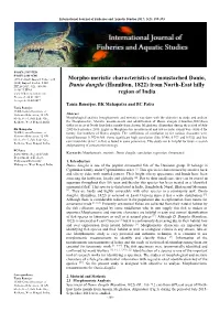 Morpho-Meristic Characteristics of Moustached Danio, Danio Dangila