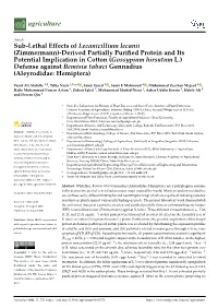 Sub-Lethal Effects of Lecanicillium Lecanii