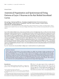 Anatomical Organization and Spatiotemporal Firing Patterns of Layer 3 Neurons in the Rat Medial Entorhinal Cortex