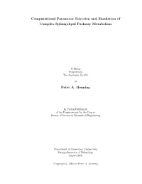 Computational Parameter Selection and Simulation of Complex Sphingolipid Pathway Metabolism
