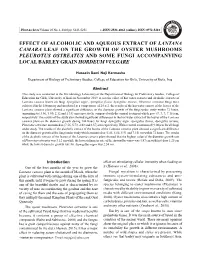 Effect of Alcoholic and Aqueous Extract Of