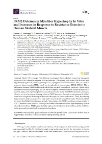 PKM2 Determines Myofiber Hypertrophy in Vitro and Increases