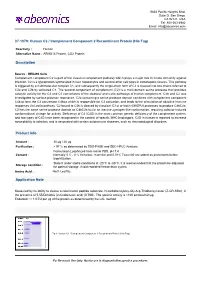 Human C2 / Complement Component 2 Recombinant Protein (His Tag)
