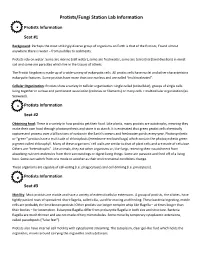 Protists/Fungi Station Lab Information