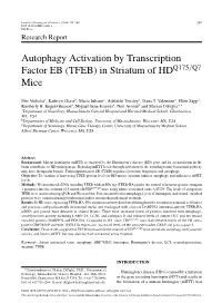 Autophagy Activation by Transcription Factor EB (TFEB) in Striatum of HD Mice