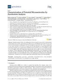 Characterization of Potential Micrometeorites by Synchrotron Analysis