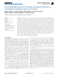 Functional Significance of M-Type Potassium Channels in Nociceptive