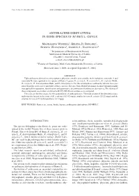 Anthracene Derivatives in Some Species of Rumex L