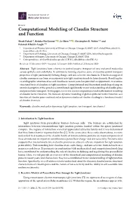 Computational Modeling of Claudin Structure and Function