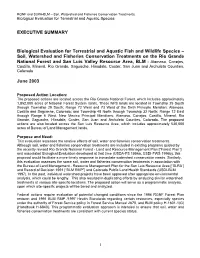 EXECUTIVE SUMMARY Biological Evaluation for Terrestrial And