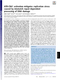 ATR-Chk1 Activation Mitigates Replication Stress Caused by Mismatch Repair-Dependent Processing of DNA Damage