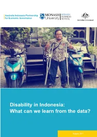 Disability in Indonesia: What Can We Learn from the Data?