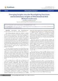 Emerging Insights Into the Moonlighting Functions And