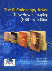 The GI Endoscopy Atlas: New Bowel Imageing (NBI)-6Th Edition the GI Endoscopy Atlas: New Bowel Imageing (NBI)-6Th Edition