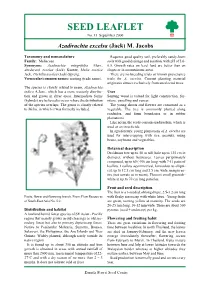 Azadirachta Excelsa (Jack) M
