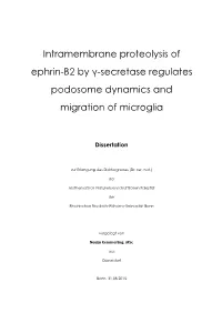 Intramembrane Proteolysis of Ephrin-B2 by Γ-Secretase Regulates Podosome Dynamics and Migration of Microglia