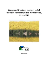 Status and Trends of Mercury in Fish Tissue in New Hampshire Waterbodies, 1992–2016
