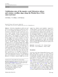 Calcification Rates of the Massive Coral Siderastrea Siderea and Crustose