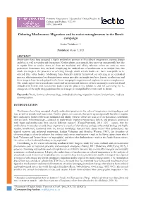Full Text (Pdf)