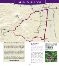 Alsea Falls Loop Guide