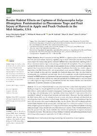 Border Habitat Effects on Captures of Halyomorpha Halys