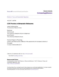 CCN Proteins in Metastatic Melanoma