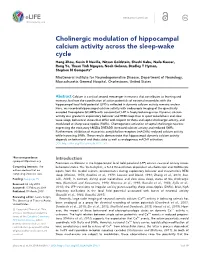 Cholinergic Modulation of Hippocampal Calcium Activity Across the Sleep-Wake Cycle