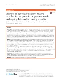 Changes in Gene Expression of Histone Modification Enzymes in Rat
