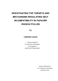 Investigating the Targets and Mechanisms Regulating Self Incompatibility in Papaver Rhoeas Pollen
