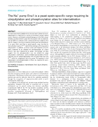 Pump Ena1 Is a Yeast Epsin-Specific Cargo Requiring Its Ubiquitylation and Phosphorylation Sites for Internalization Arpita Sen1,*,§, Wen-Chieh Hsieh1,‡,§, Claudia B
