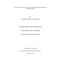 Wnt/Β-Catenin Pathway in Cranial Bone Progenitor Specification