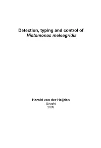 Detection Typing and Control of Histomonas Meleagridis